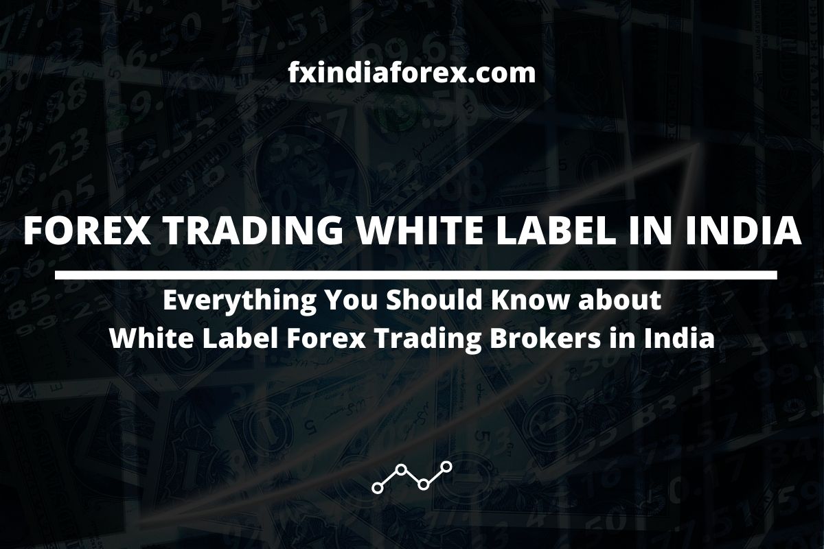 cover photo of the post forex trading white label in india